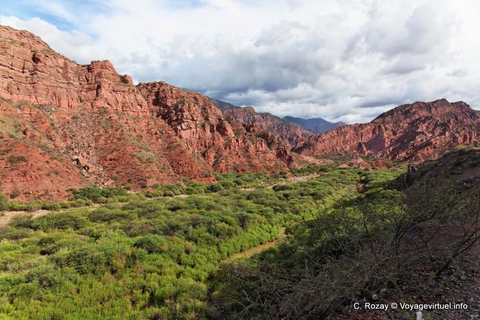 Vallée verte vers Alemania, Quebrada de las Conchas - Argentine