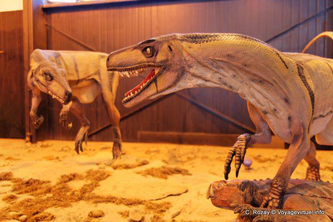 Bagarre de dinosaures, musée des sciences naturelles, Ischigualasto - Argentine