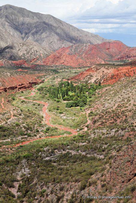 Oasis de verdure, Cuesta Miranda, Ruta 40 entre Villa Union et Chilecito - Argentine