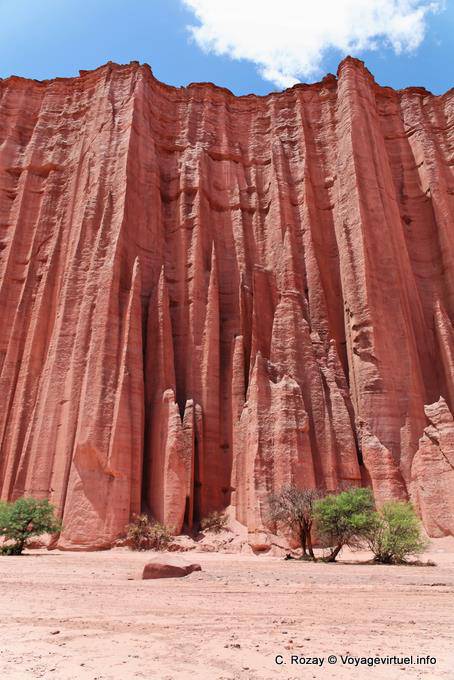 Point de vue sur la Catedral, Talampaya - Argentine