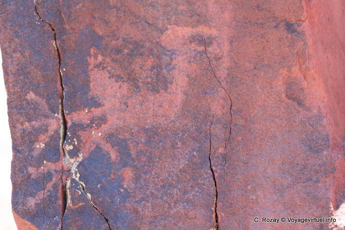 Pétroglyphe d'oiseau, Talampaya - Argentine