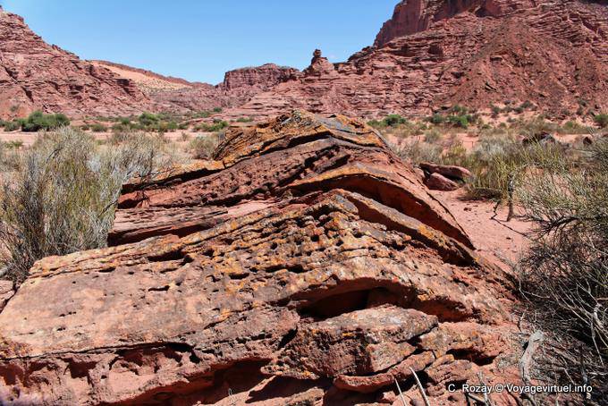 Vision colorée, Talampaya - Argentine
