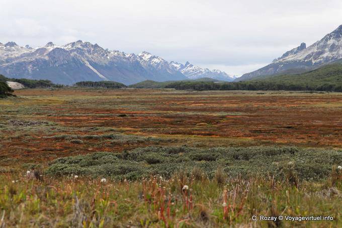 La tourbière de Carbajal et monte Olivia au fond, Ushuaia - Argentine
