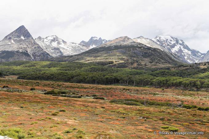 Lande, forêt et montagnes, Ushuaia - Argentine