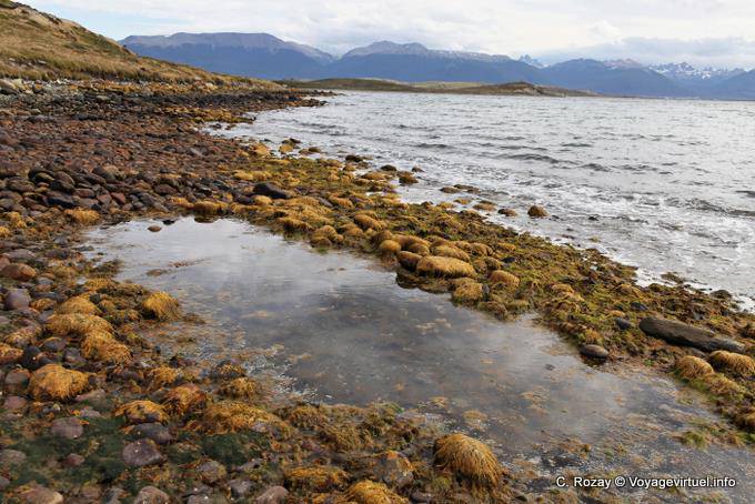 Autre vue de Bahia Brown, Ushuaia - Argentine