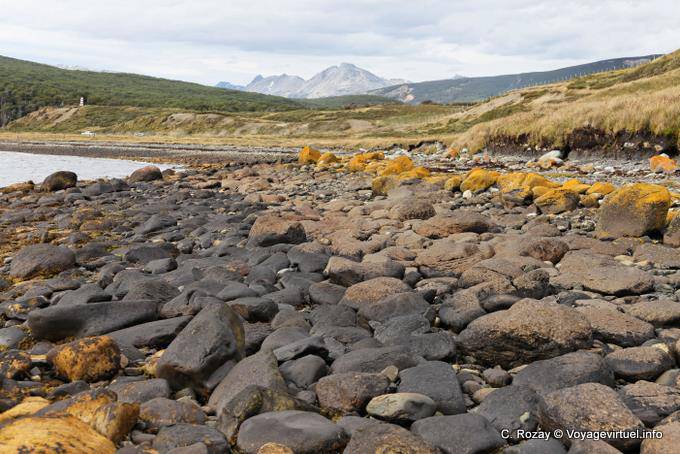 Plage rocheuse vers Bahia Brown, Ushuaia - Argentine