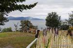 Bancs et lupins, Ushuaia Lago Fagnano, Argentine.