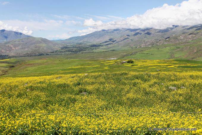 Vue depuis Pinar de los Cervios, Tafi del Valle, Ruta 307 - Argentine