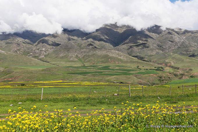 Depuis la ruta 307, panorama du Pinar de los Cervios, Tafi del Valle, Ruta 307 - Argentine