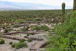 Panorama sur la vallée de Yokavil, Quilmes Ruinas, Argentine.