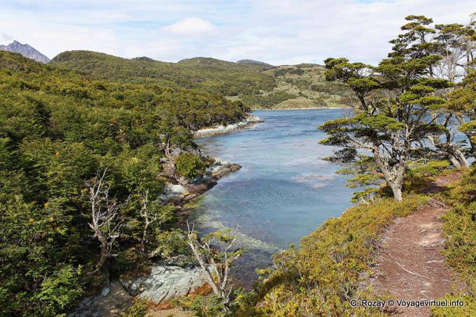 sur le chemin entre bahia Ensenada et Lapataïa, Parque Nacional Tierra del Fuego, Ushuaia - Argentine