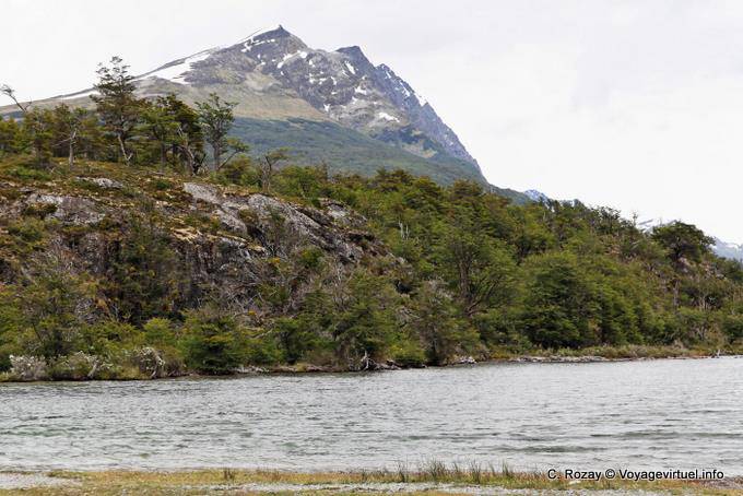 Angle particulier sur le Cerro Condor, Parque Nacional Tierra del Fuego, Ushuaia - Argentine