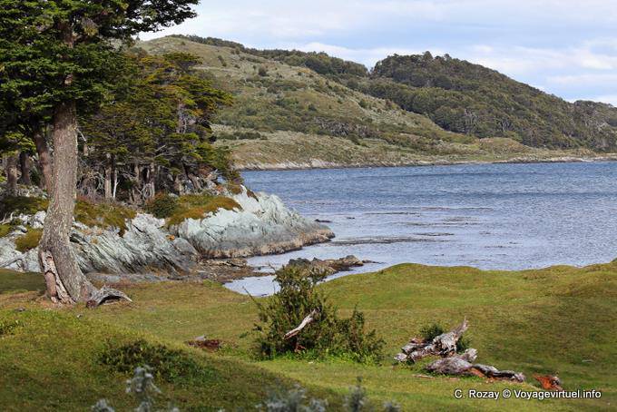 Paysage patagonien depuis la côte de la bahia ensenada, Parque Nacional Tierra del Fuego, Ushuaia - Argentine