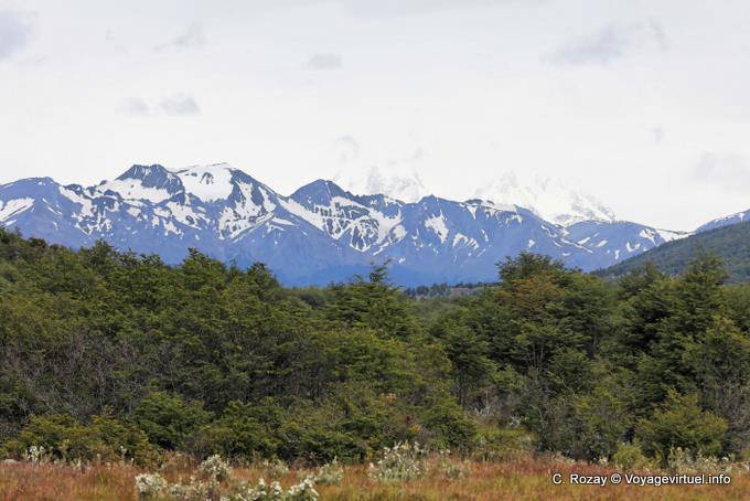 Paysage fuégien, Bahia Lapataia, parque nacional Tierra del Fuego, Ushuaia - Argentine