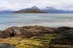 Isla Redonda, Parque Nacional Tierra del Fuego, Ushuaia, Argentine.