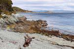 Bois flotté sur le rivage, Parque Nacional Tierra del Fuego, Ushuaia, Argentine.