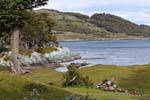 Paysage patagonien depuis la côte de la bahia ensenada, Parque Nacional Tierra del Fuego, Ushuaia, Argentine.