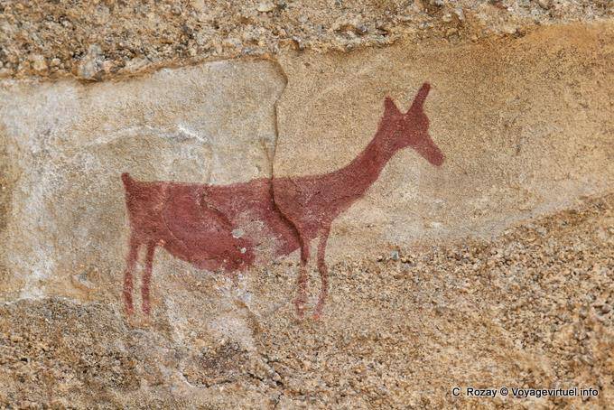 Gros plan sur femelle guanaco préhistorique, peinture rupestre Tehuelche, Walichu - Argentine