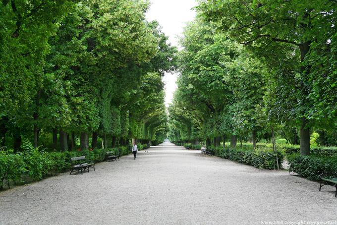 Schönbrunn, Allée Hietzinger Tor - Vienne - Autriche