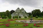 Topiaires, fontaine et serre aux palmiers, Schönbrunn, Palmenhaus, Vienne - Autriche.
