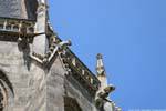 Stefansdom, Gargouilles Wasserspeier, Vienne - Autriche.