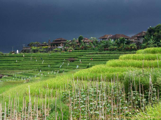 Culture et village, Gunungsari - Bali