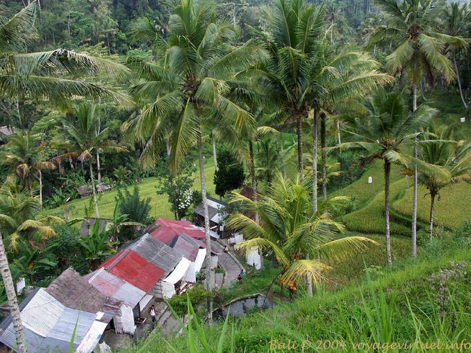Vue de haut Gunung Kawi - Bali