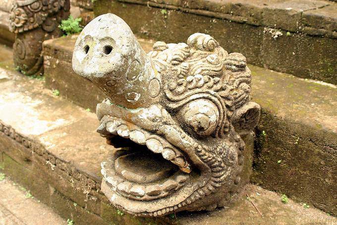 Buste au nez de cochon, Pura Kehen - Bali