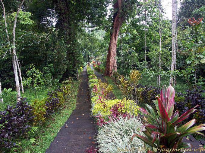 Dans le jardin, Luhur Batukaru. - Bali