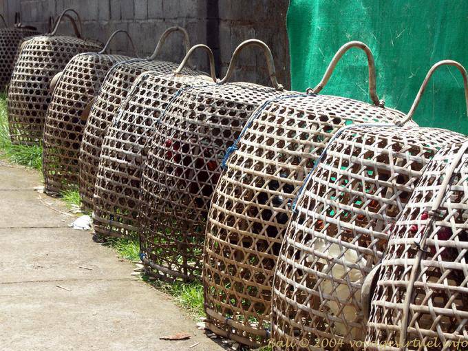 Casiers à volaille, Penglipuran - Bali