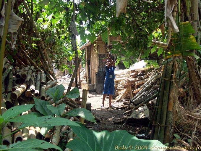 Gym du matin, Penglipuran - Bali