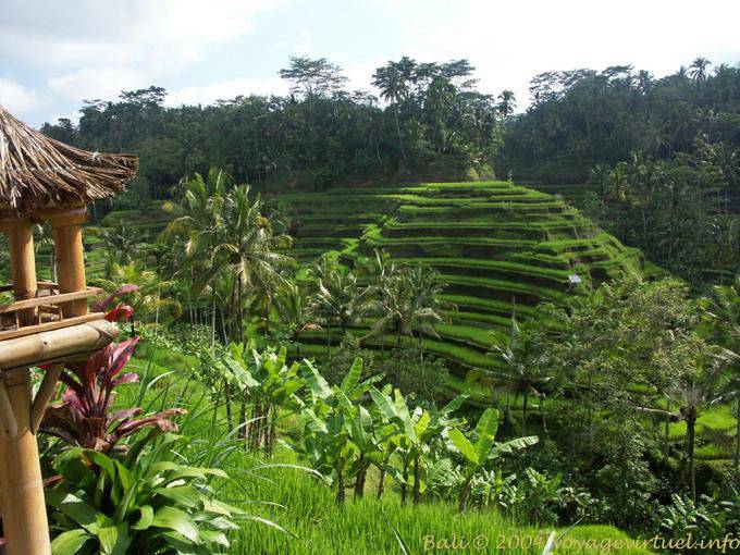 Landscape Gunung Kawi - Bali