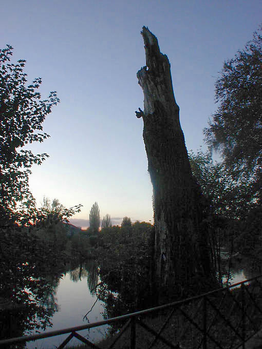 Besançon, nocturne au Parc Micaud - France