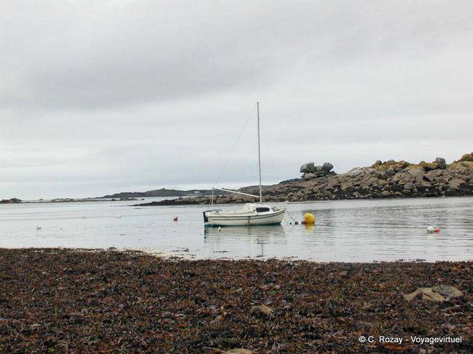 Le voilier dans la baie, Roscoff, Bretagne - France