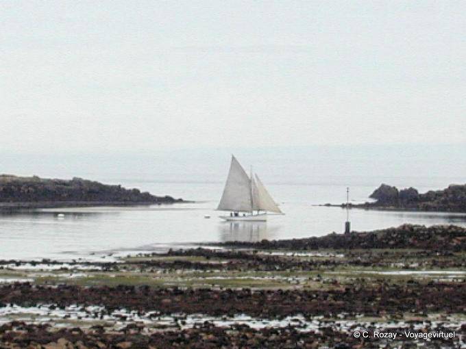 Voilier à marée basse passant vers la pointe de Vil à Roscoff, Bretagne - France