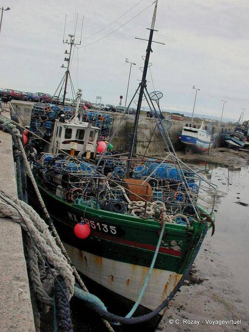 Chalutier dans le port, Roscoff, Bretagne - France