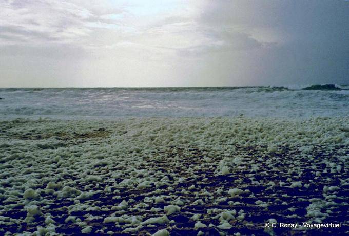 Champ d'écume, Quiberon, Bretagne - France