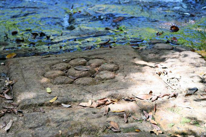 Fleur de pierre, Kbal Spean site, Angkor, Cambodge