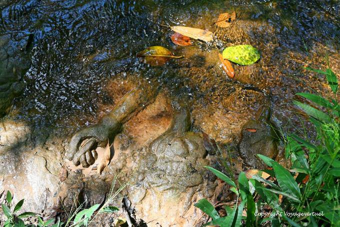 Main de pierre sortant de l'eau, Kbal Spean site, Angkor, Cambodge