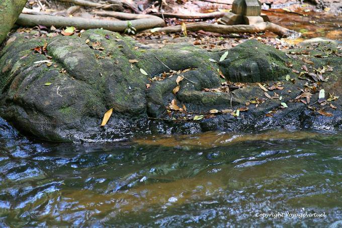 Vishnu couchée dans le lit, Kbal Spean, Angkor, Cambodge