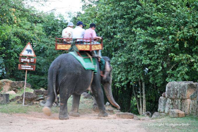 Promenade éléphantesque, Phnom Bakheng, Angkor, Cambodge