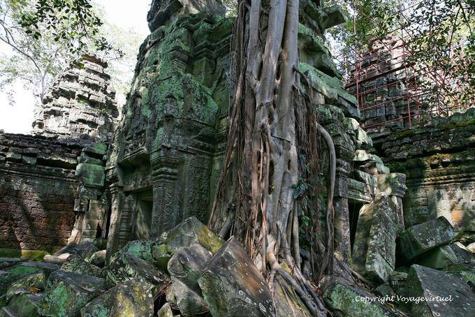 Intimité architecture et nature au Ta Prohm, Angkor, Cambodge