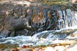 Sculpture dans la cascade, Kbal Spean, Cambodge.