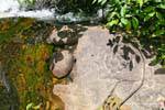 Sculpture sur torrent, Kbal Spean site, Cambodge.