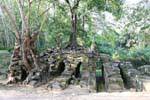 Mélange de ruines et d'arbres aux racines enlacées, Prasat Thom Manon, Cambodge.