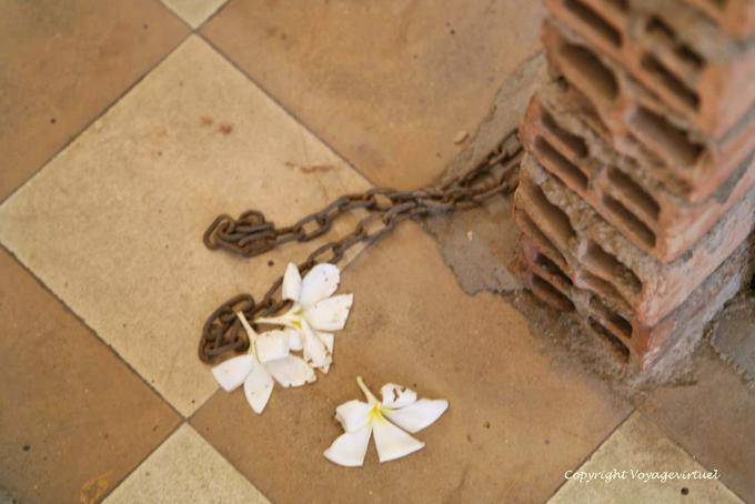 Fleurs sur les chaines, musée du Génocide Khmer, Phnom Penh - Cambodge