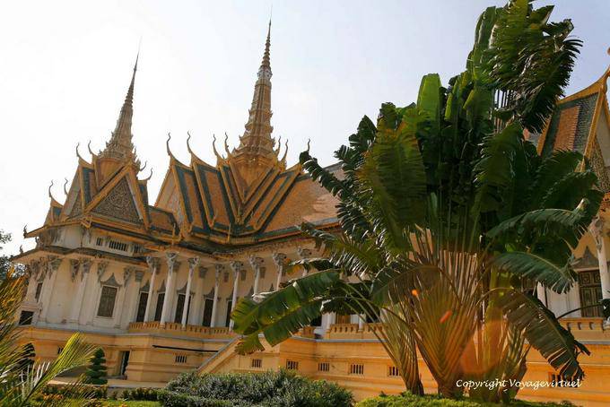 Arbres du voyageur dans le jardin du palais royal, Phnom Penh - Cambodge