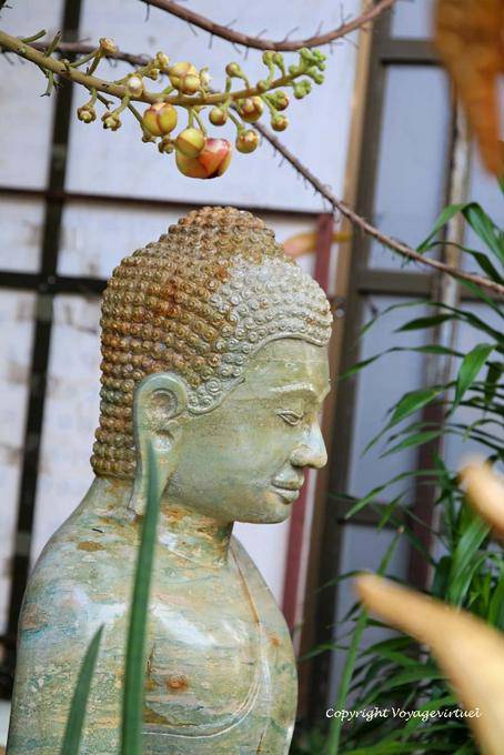 Profil de bouddha et fruits du sal, Wat Preah Keo, Phnom Penh - Cambodge