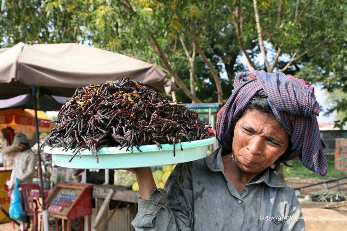 Skun, spécialité culinaire locale, les mygales noires frites (Aping) - Cambodge