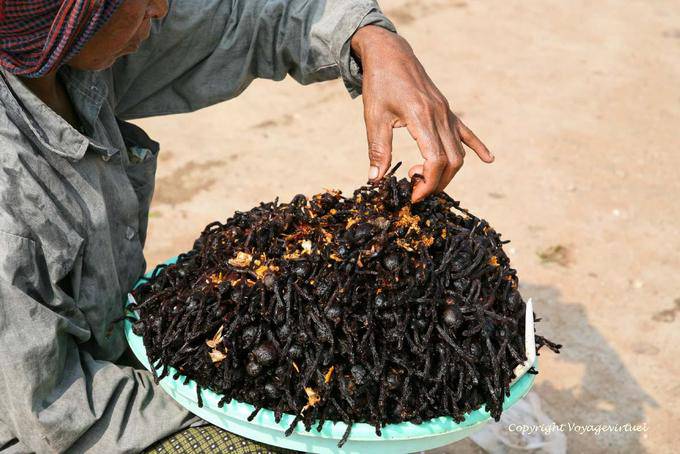 Manger des araignées, c'est bon pour la santé, Skun (Skuon) - Cambodge
